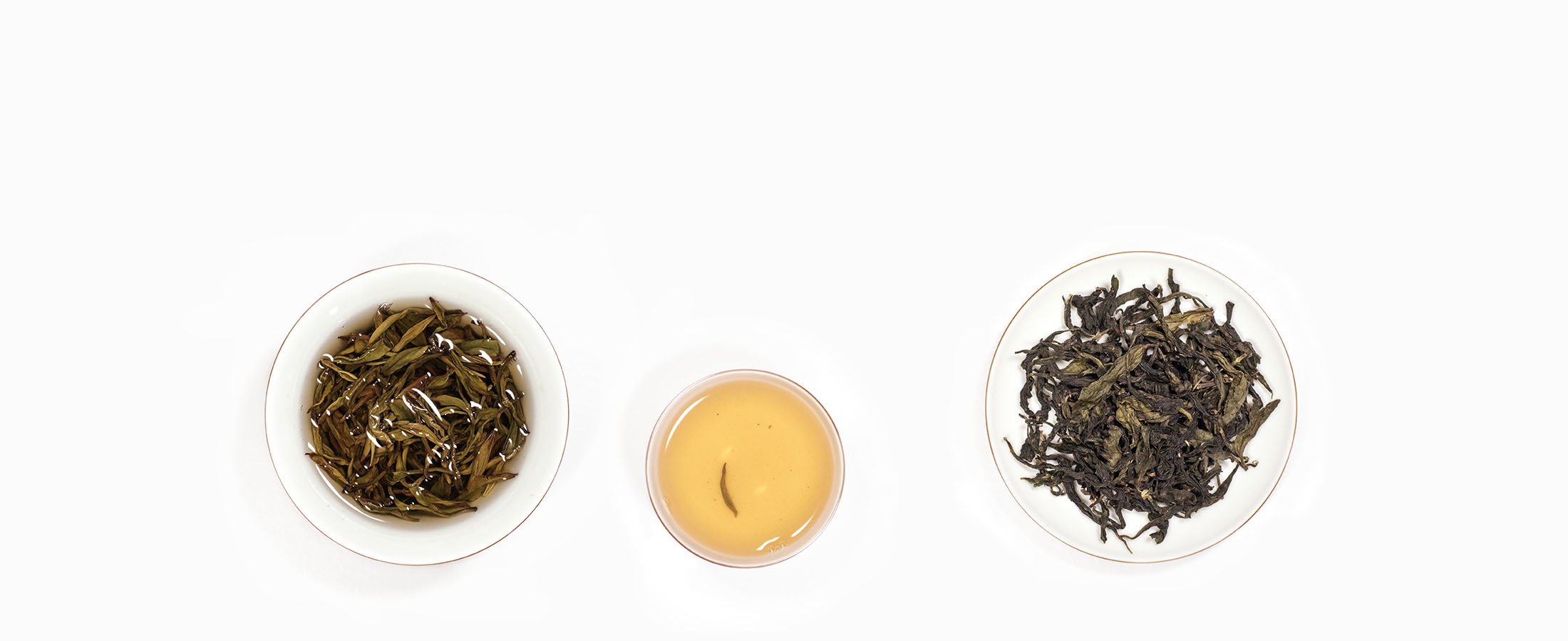 Startup PR Appointed by Eco Tea Start-up, Grass People Tree